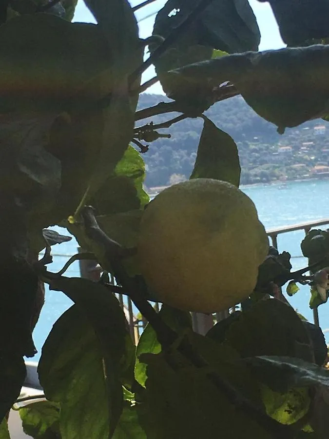 Casa Rossa Apartment Porto Venere Italy